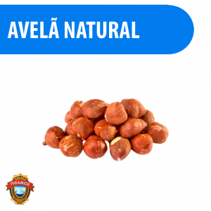 Avelã com Pele Natural 100% Puro 250g Pirâmide - Qualidade Premium