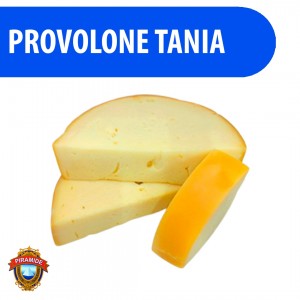 Queijo Provolone Tania 100% Puro 500g Pirâmide - Qualidade Premium